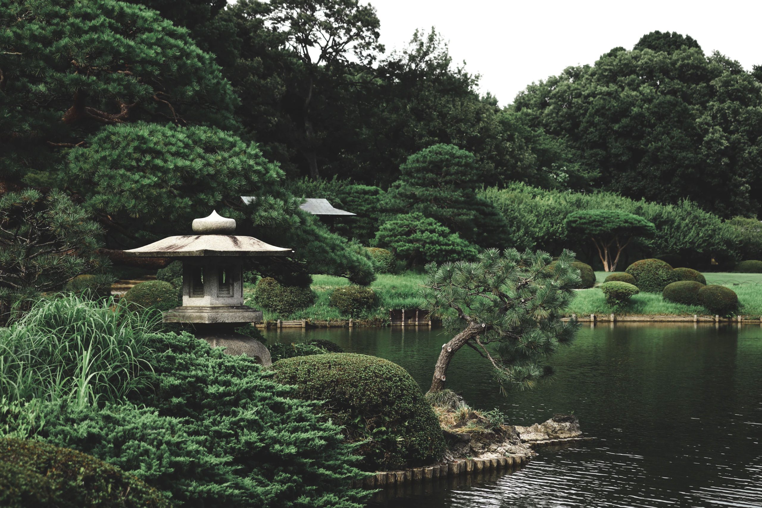 Zen Garden Trees Zen Garden Trees